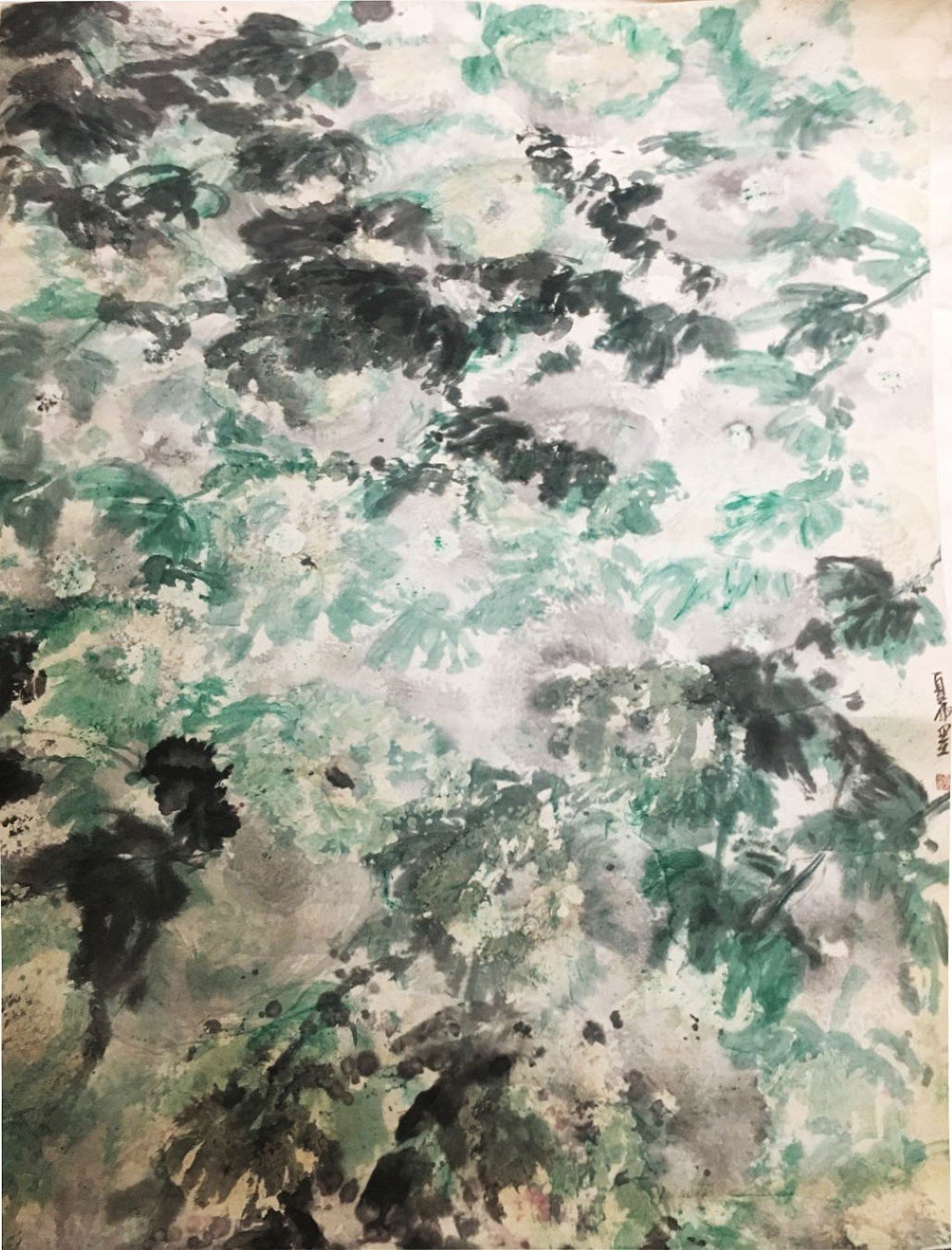 夏雨墨簡歷